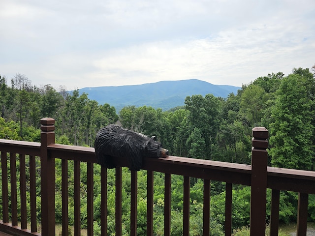 2729 Hatcher Mountain Rd, Sevierville, TN 37862 - photo 46