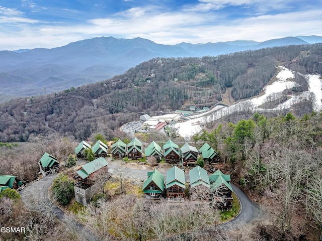 aerial view with a mountain view