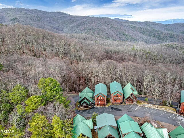 bird's eye view with a mountain view