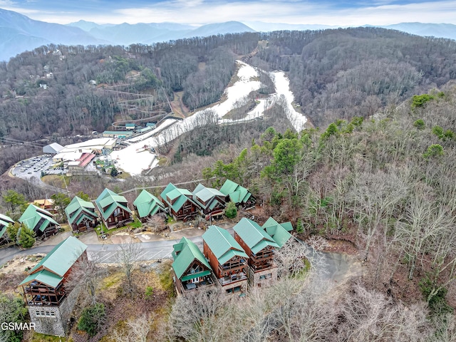 drone / aerial view featuring a mountain view