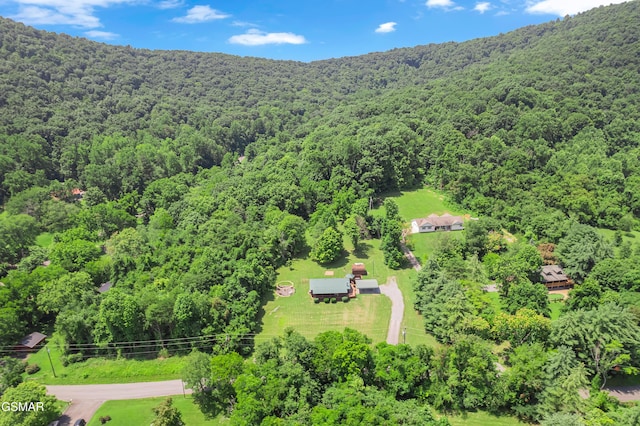 509 Thomas Loop Rd, Sevierville, TN 37876 - photo 34