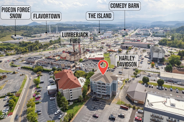 birds eye view of property featuring a mountain view