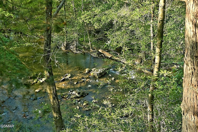 view of local wilderness featuring a view of trees