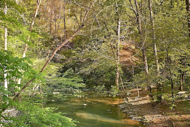 view of landscape with a forest view