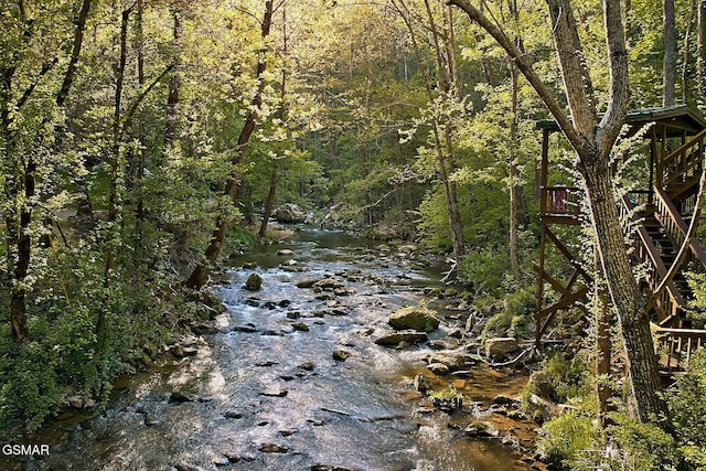 water view with a wooded view