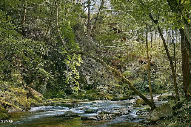 view of local wilderness featuring a view of trees