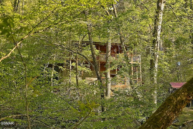 view of local wilderness with a view of trees