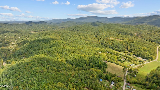 drone / aerial view with a mountain view