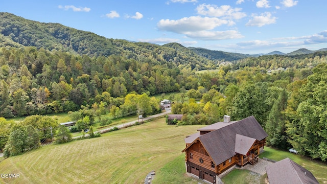 drone / aerial view with a mountain view