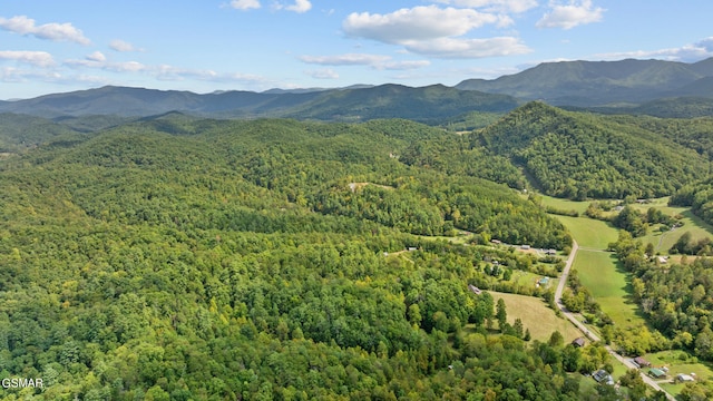 property view of mountains