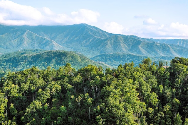 907 Village Loop Rd, Gatlinburg, TN 37738 - mountain view