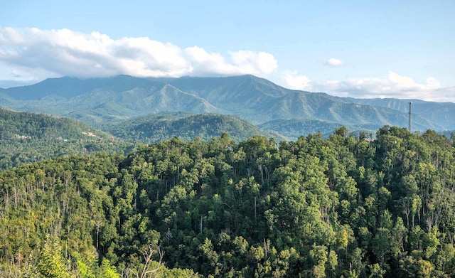 907 Village Loop Rd, Gatlinburg, TN 37738 - mountain view