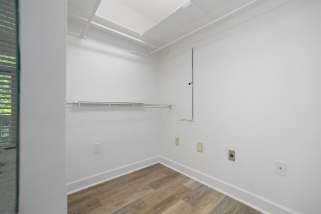 walk in closet featuring hardwood / wood-style flooring