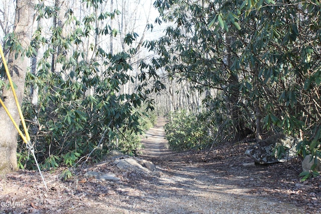 view of landscape