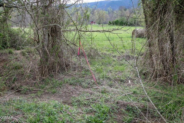 LotB Tarwater Lane, Sevierville, TN 37862 - photo 7