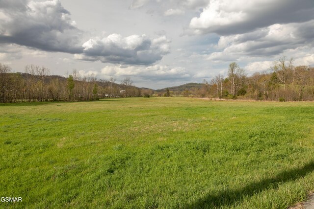 LotB Tarwater Lane, Sevierville, TN 37862 - photo 3
