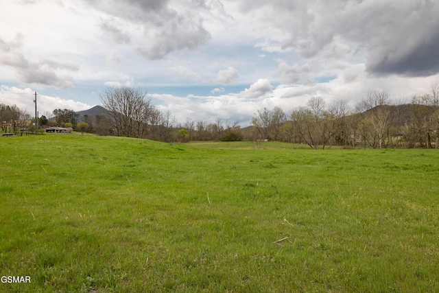 LotB Tarwater Lane, Sevierville, TN 37862 - photo 6