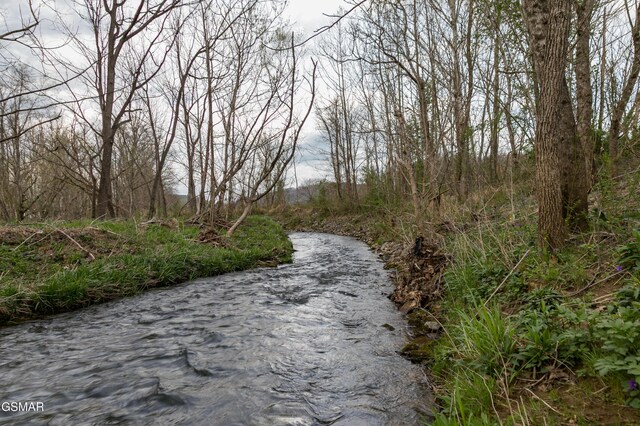 LotB Tarwater Lane, Sevierville, TN 37862 - photo 10