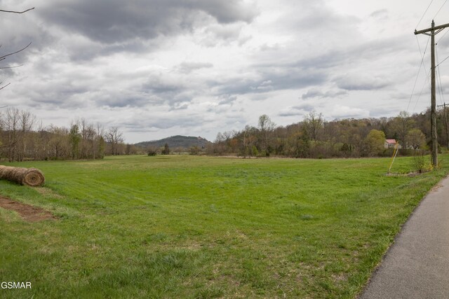LotB Tarwater Lane, Sevierville, TN 37862 - photo 5