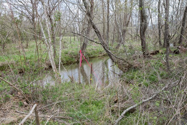 LotB Tarwater Lane, Sevierville, TN 37862 - photo 8