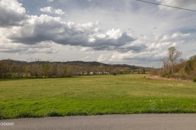 LotB Tarwater Lane, Sevierville, TN 37862 - photo 1