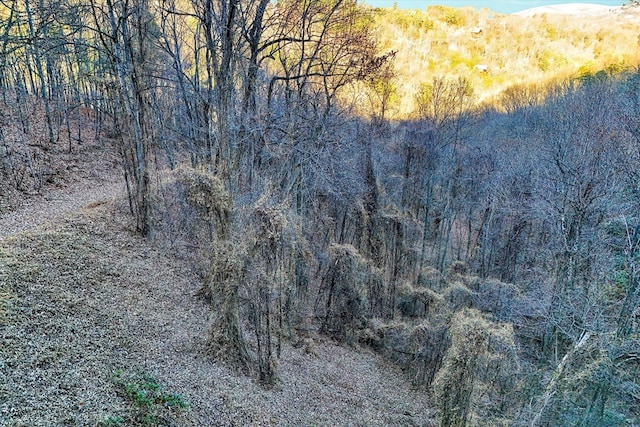 LOTS6-7 Balsam Slopes Rd, Sevierville, TN 37862