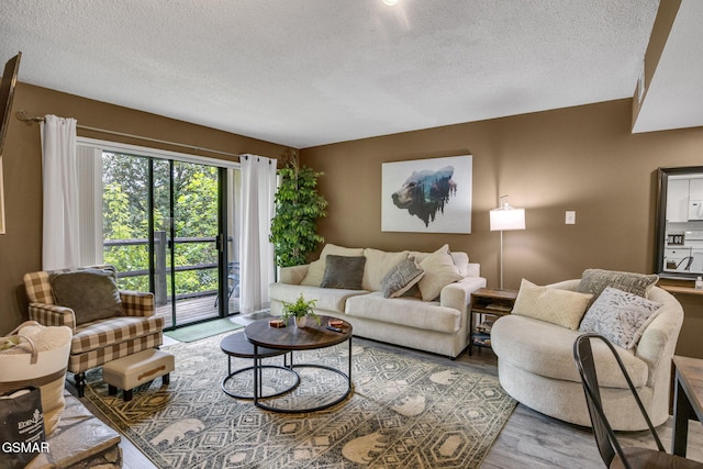 1081 Cove Rd Unit 612, Sevierville, TN 37876 - living room featuring a textured ceiling and wood finished floors