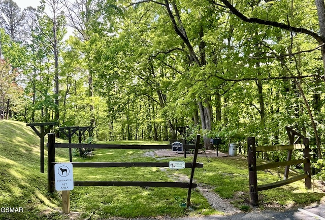 1081 Cove Rd Unit 612, Sevierville, TN 37876 - view of surrounding community