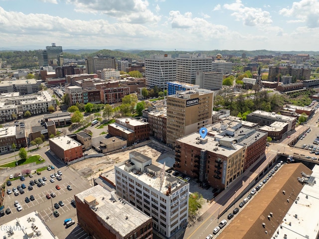 240 W Jackson Ave Apt B05, Knoxville, TN 37902 - photo 43
