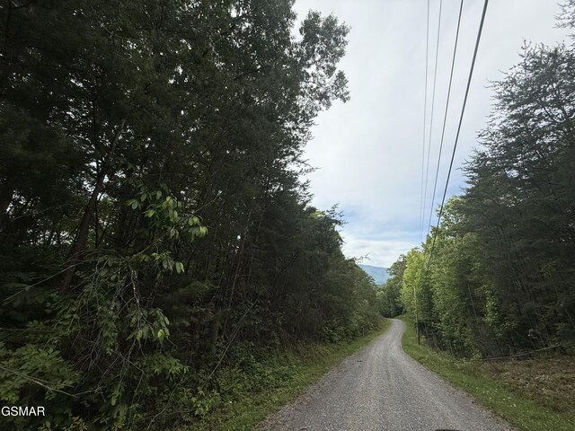 0 Pleasant Valley Rd, Cosby, TN 37722