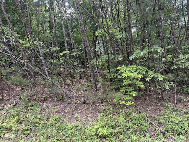 0 Pleasant Valley Rd, Cosby, TN 37722