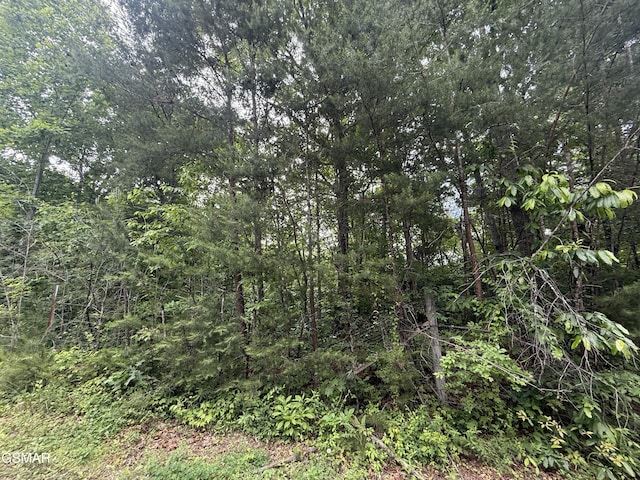 0 Pleasant Valley Rd, Cosby, TN 37722