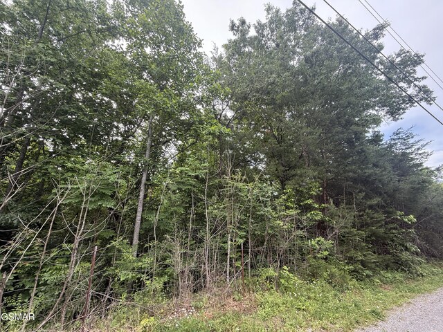 0 Pleasant Valley Rd, Cosby, TN 37722