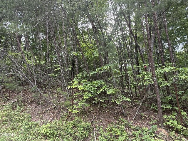 0 Pleasant Valley Rd, Cosby, TN 37722