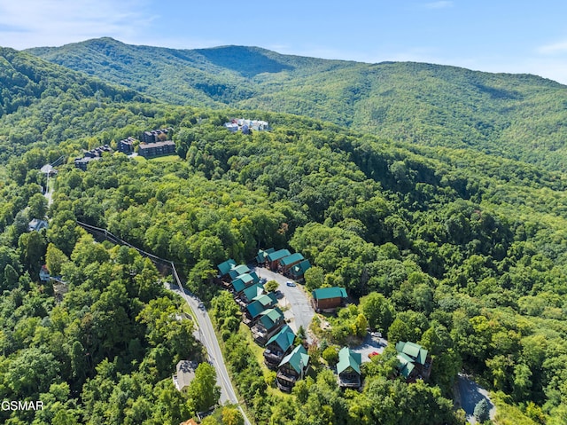 1251 Bear Cub Way, Gatlinburg, TN 37738 - aerial view with a mountain view and a wooded view