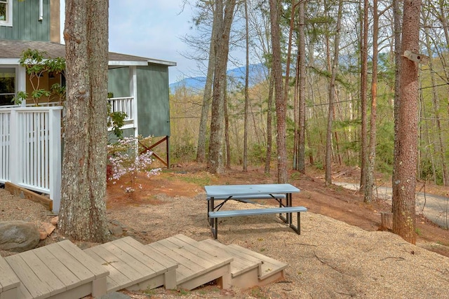 view of yard