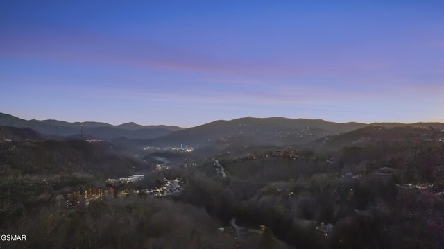 503 Eagle Trl, Gatlinburg, TN 37738 - photo 32