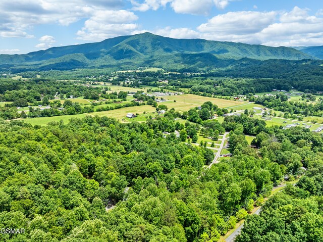 3123 Happy Hollow Rd, Sevierville, TN 37862