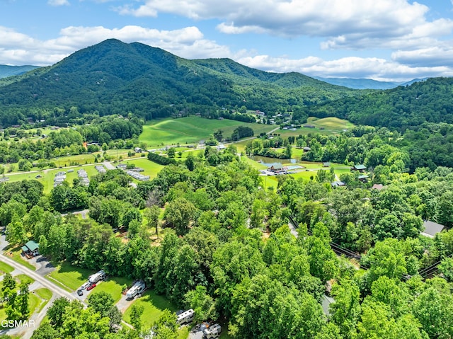 3123 Happy Hollow Rd, Sevierville, TN 37862 - photo 24