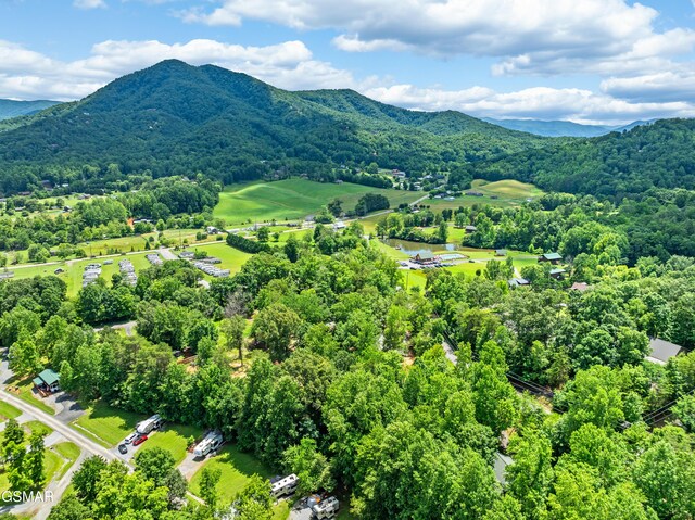 3123 Happy Hollow Rd, Sevierville, TN 37862