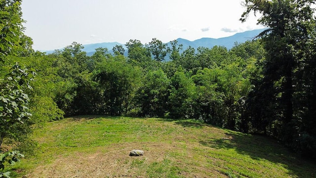 Listing photo 2 for 1468 Laurel Rd, Gatlinburg TN 37738