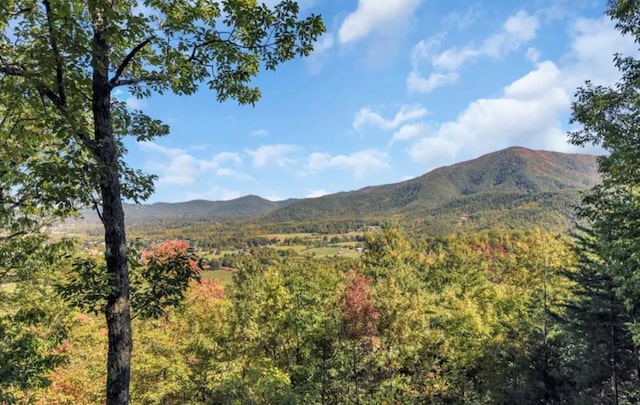 3831 Glenview Way, Sevierville, TN 37862 - view of mountain background featuring a heavily wooded area