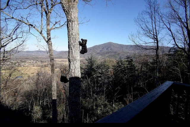 3831 Glenview Way, Sevierville, TN 37862 - mountain view