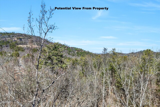 LOT43E Harvest Moon Rd, Sevierville, TN 37862