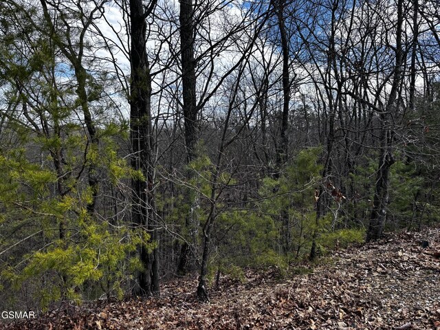 LOT43E Harvest Moon Rd, Sevierville, TN 37862