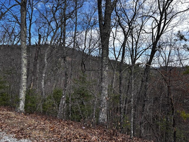 LOT43E Harvest Moon Rd, Sevierville, TN 37862
