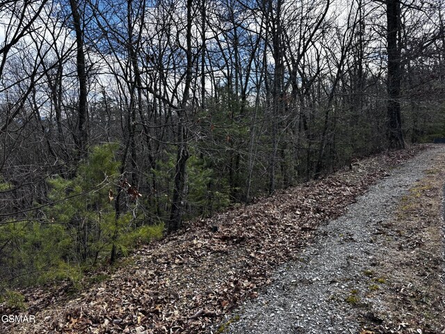 LOT43E Harvest Moon Rd, Sevierville, TN 37862