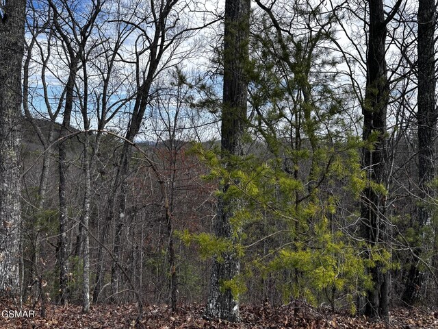 LOT43E Harvest Moon Rd, Sevierville, TN 37862