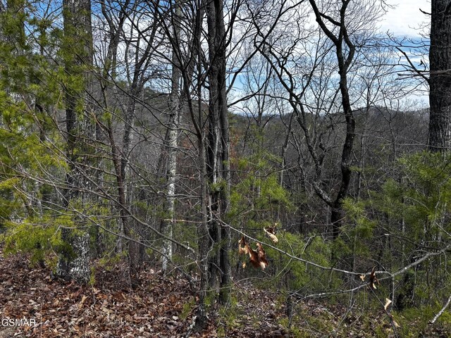 LOT43E Harvest Moon Rd, Sevierville, TN 37862