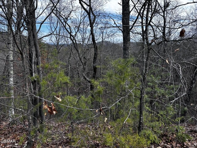 LOT43E Harvest Moon Rd, Sevierville, TN 37862